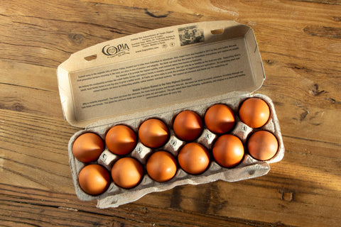 Wholesale Eggs